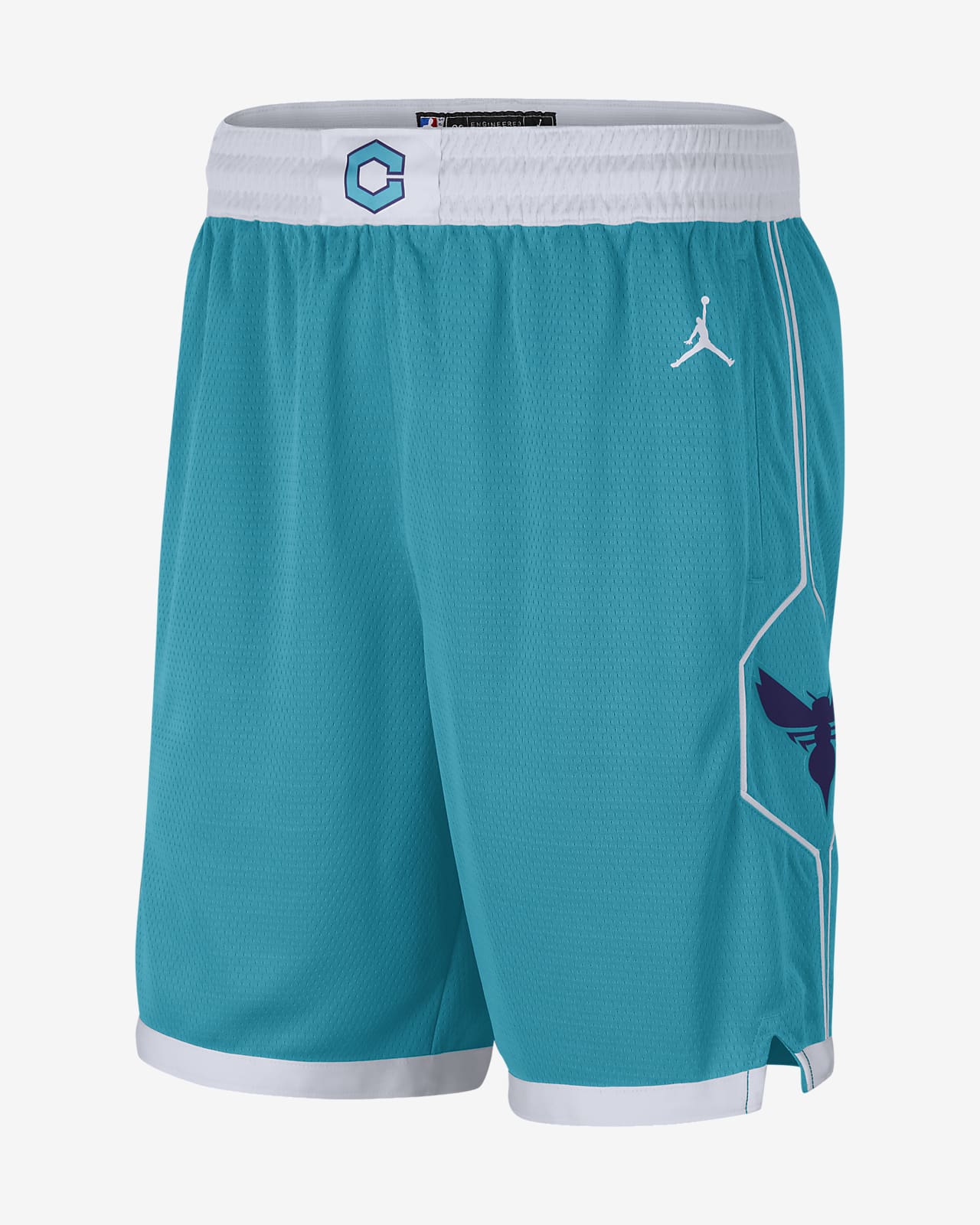 Charlotte hornets nba shorts