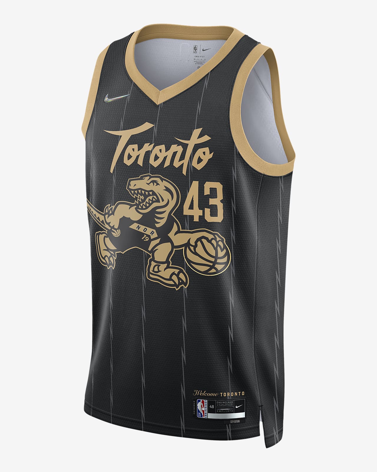 nike raptors shirt