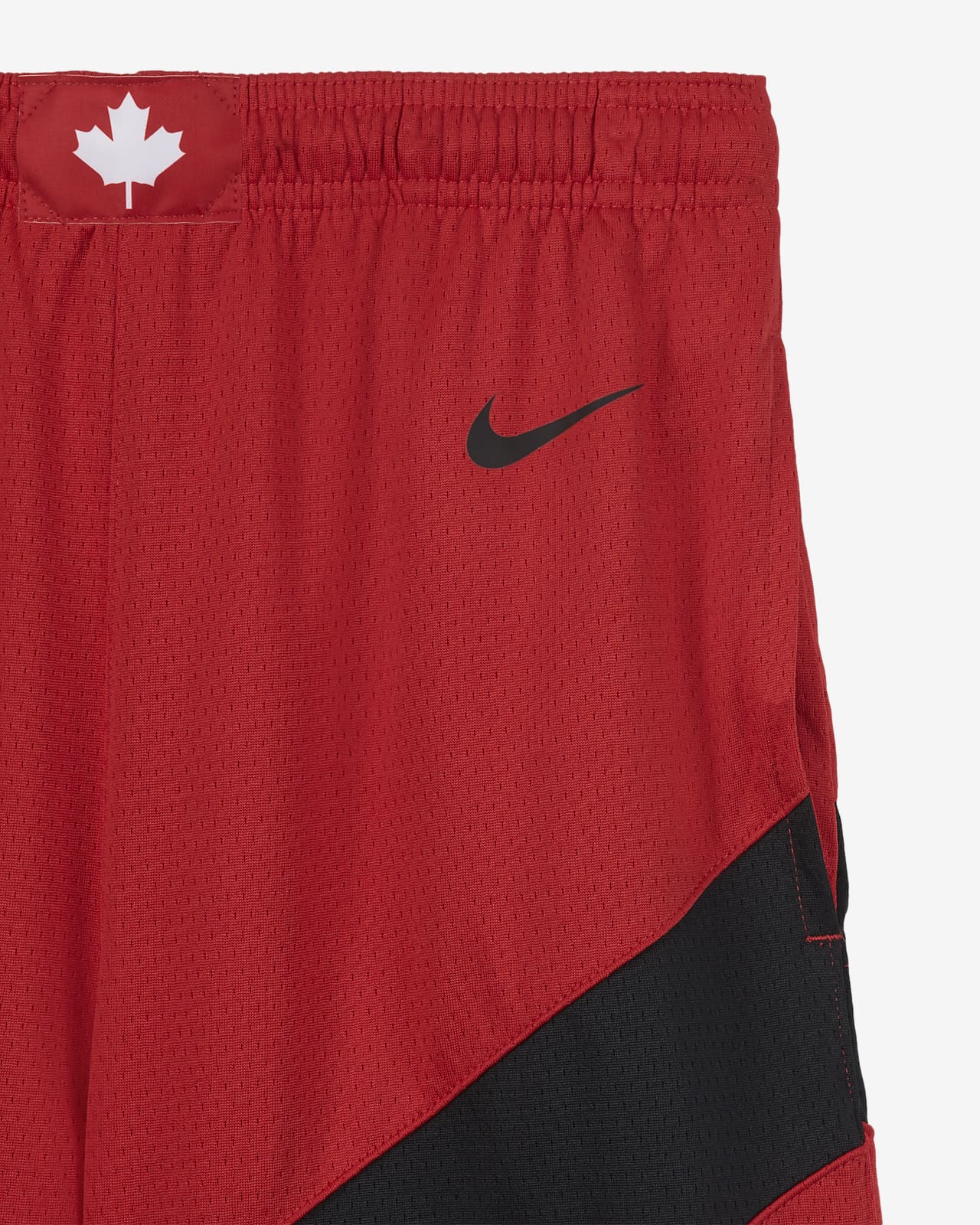 raptors authentic shorts