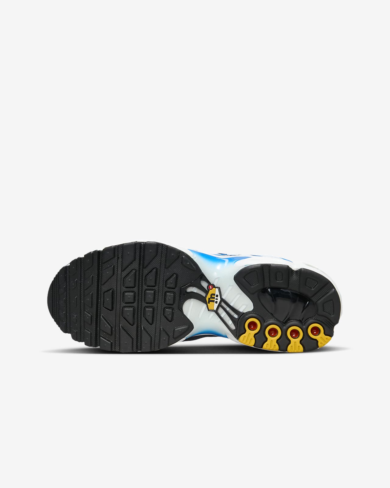Nike Air Max Plus Big Kids' Shoe