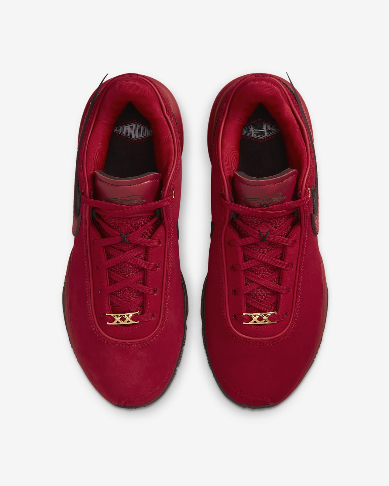 Lebron suede hot sale shoes