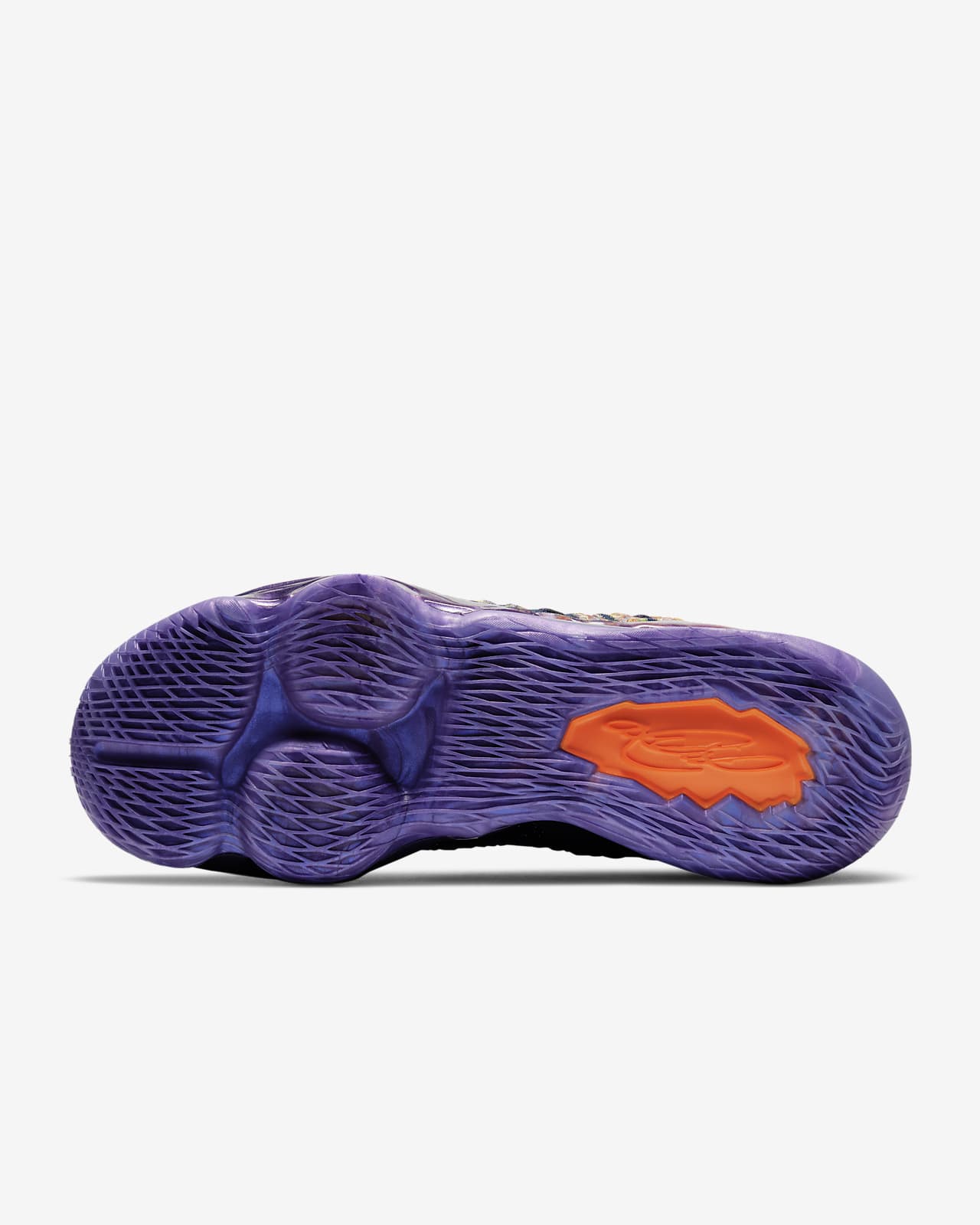 lebron shoes blue