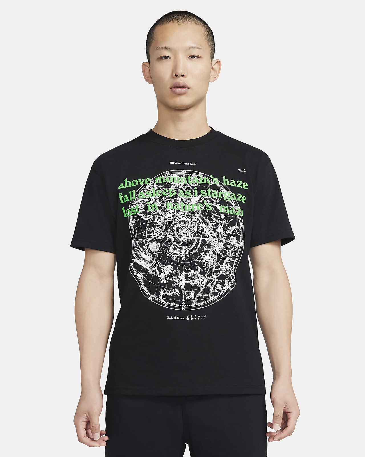 nike acg t shirt