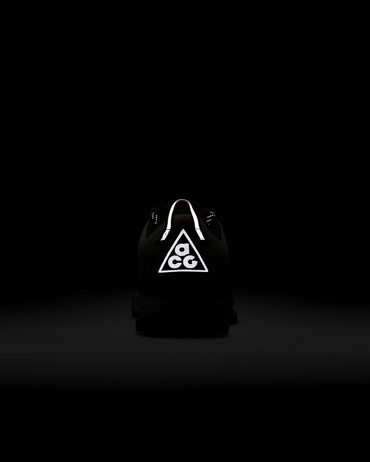 Nike公式 ナイキ Acg エア ナス Goer Tex シューズ オンラインストア 通販サイト