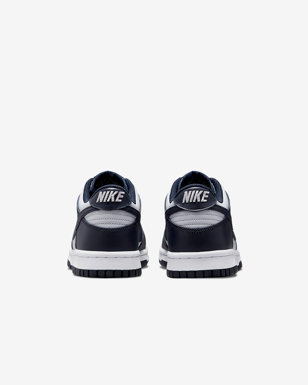 Nike Dunk Low Big Kids' Shoes