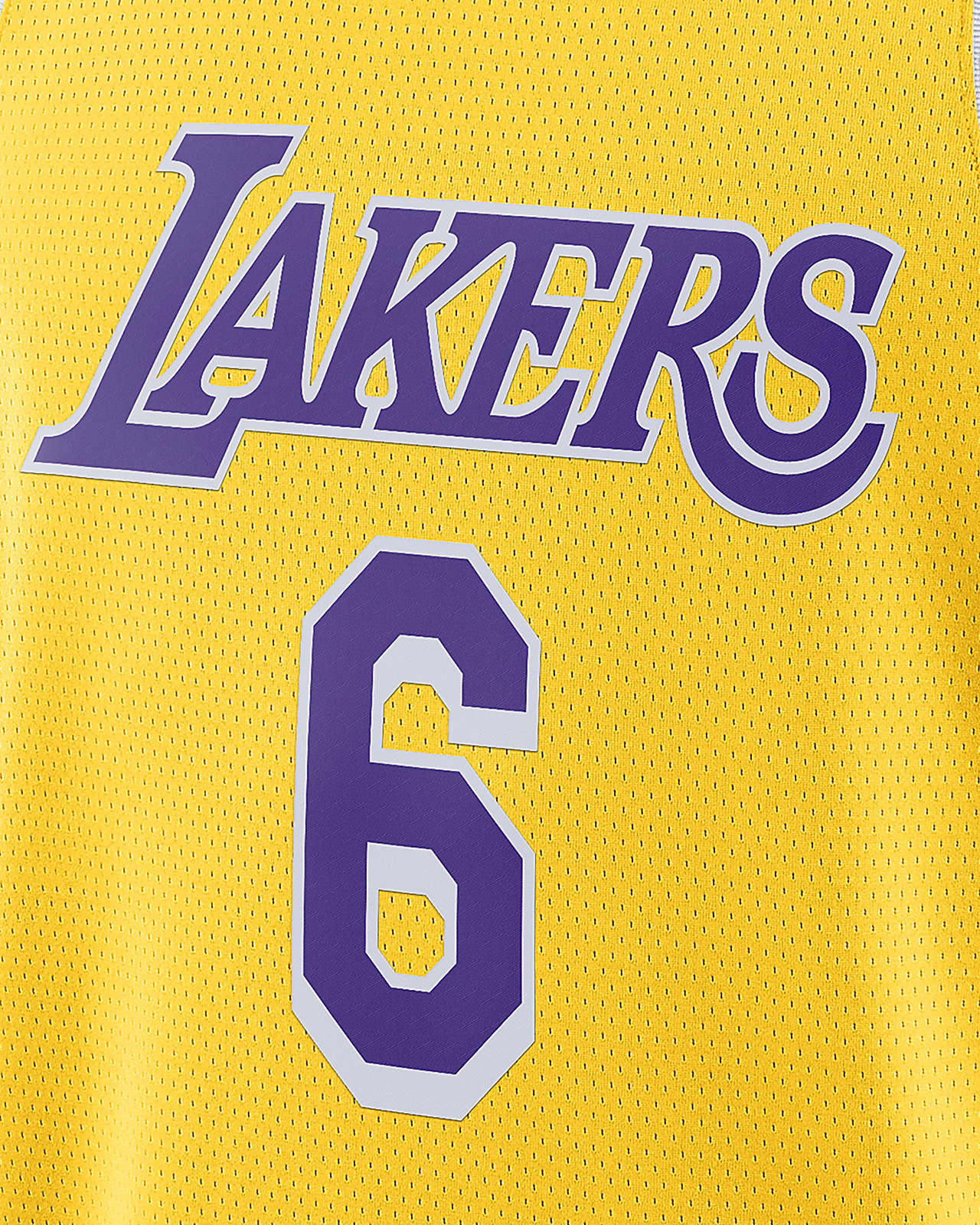 Maillot Nike NBA Swingman Lakers Icon Edition 2020. Nike CA