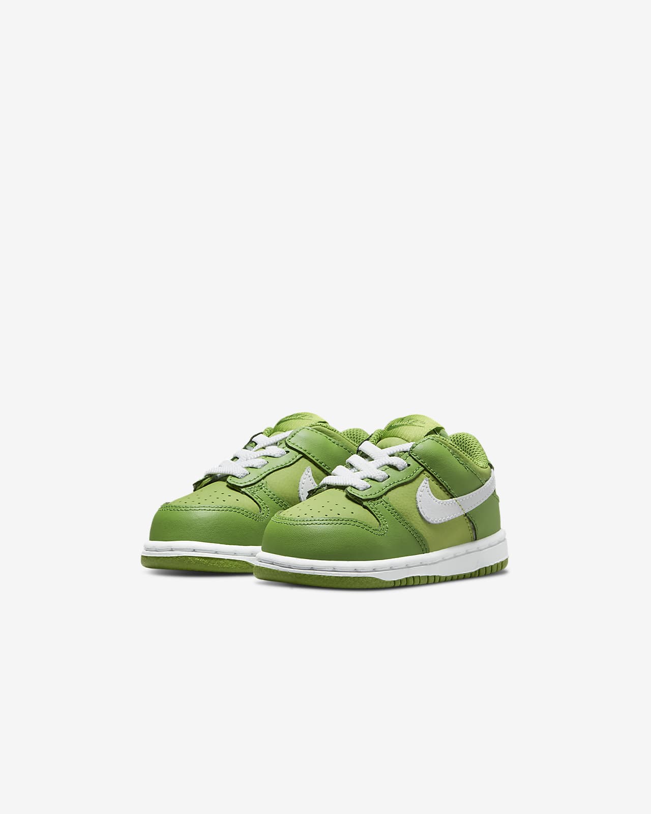 nike dunk ltr