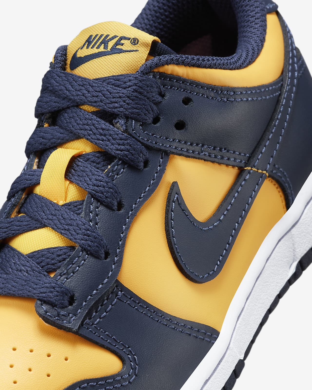 Nike Dunk Low Little Kids' Shoes