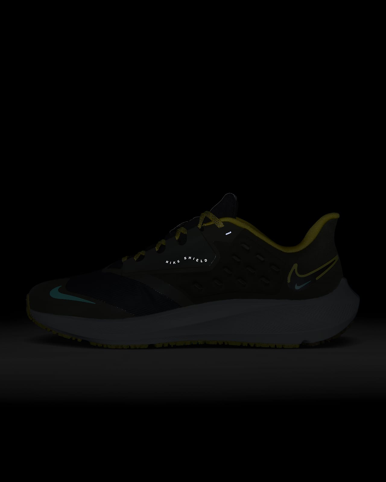 Nike Pegasus Shield Men's Weatherized Road Running Shoes.