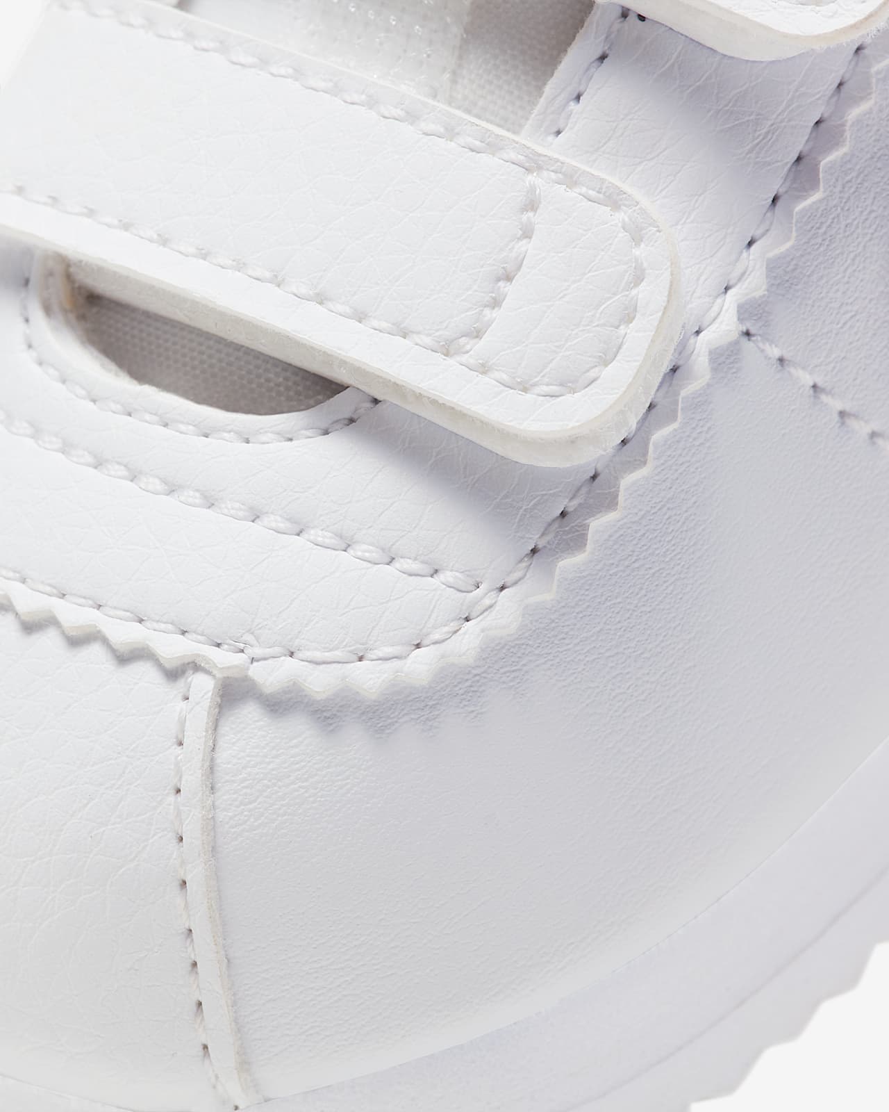 new born cortez