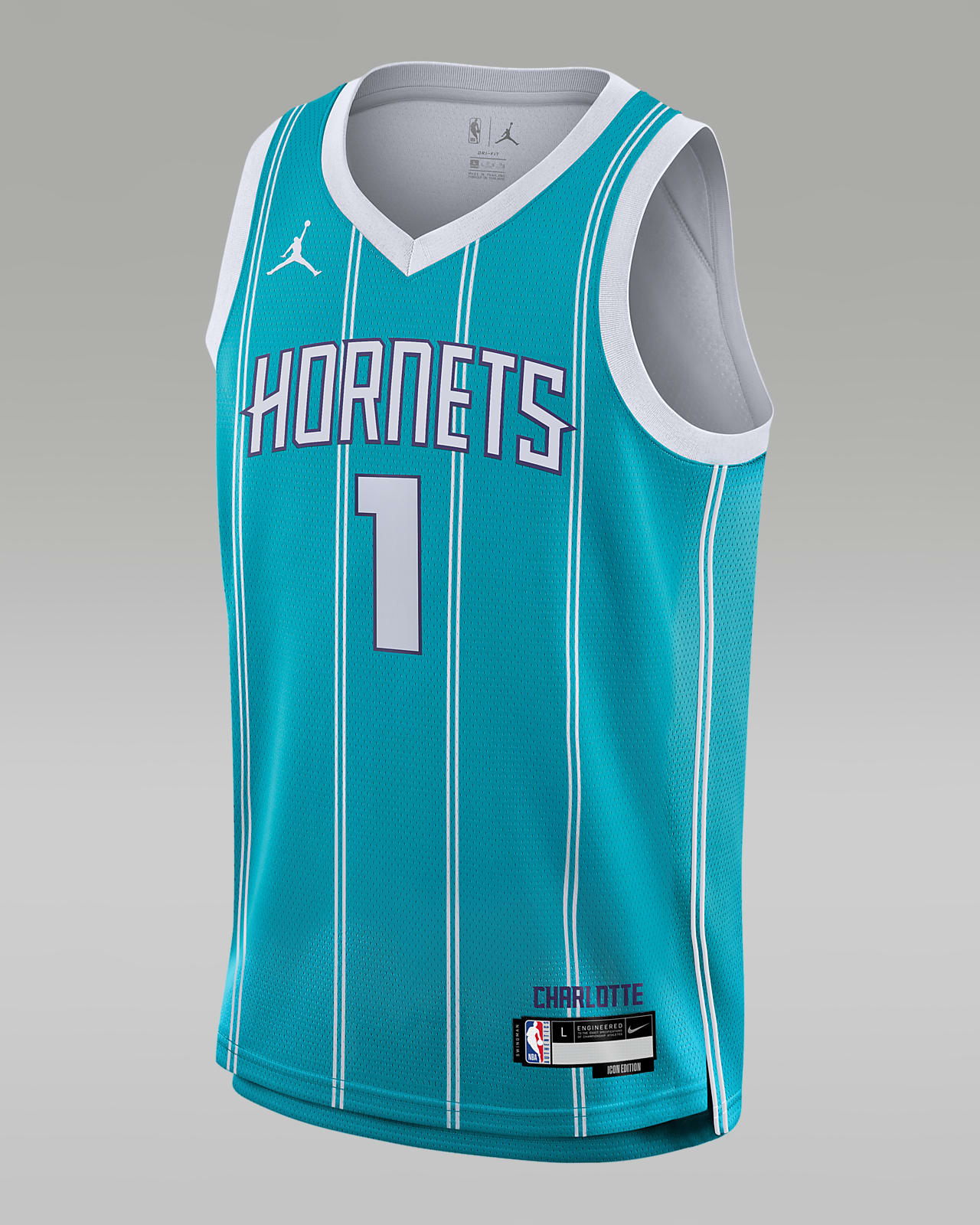 LaMelo Ball Charlotte Hornets Icon Edition 2023/24 Jordan Dri-FIT NBA Swingman Jersey