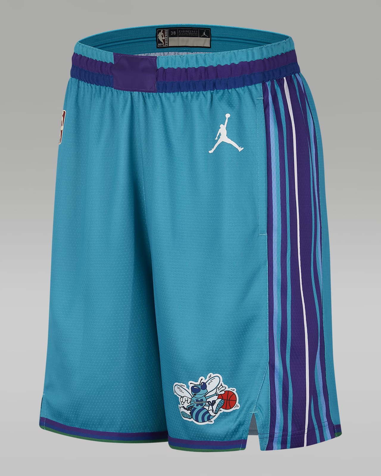 Charlotte Hornets Hardwood Classics 2023/24 Nike Dri-FIT NBA Swingman-shorts til mænd