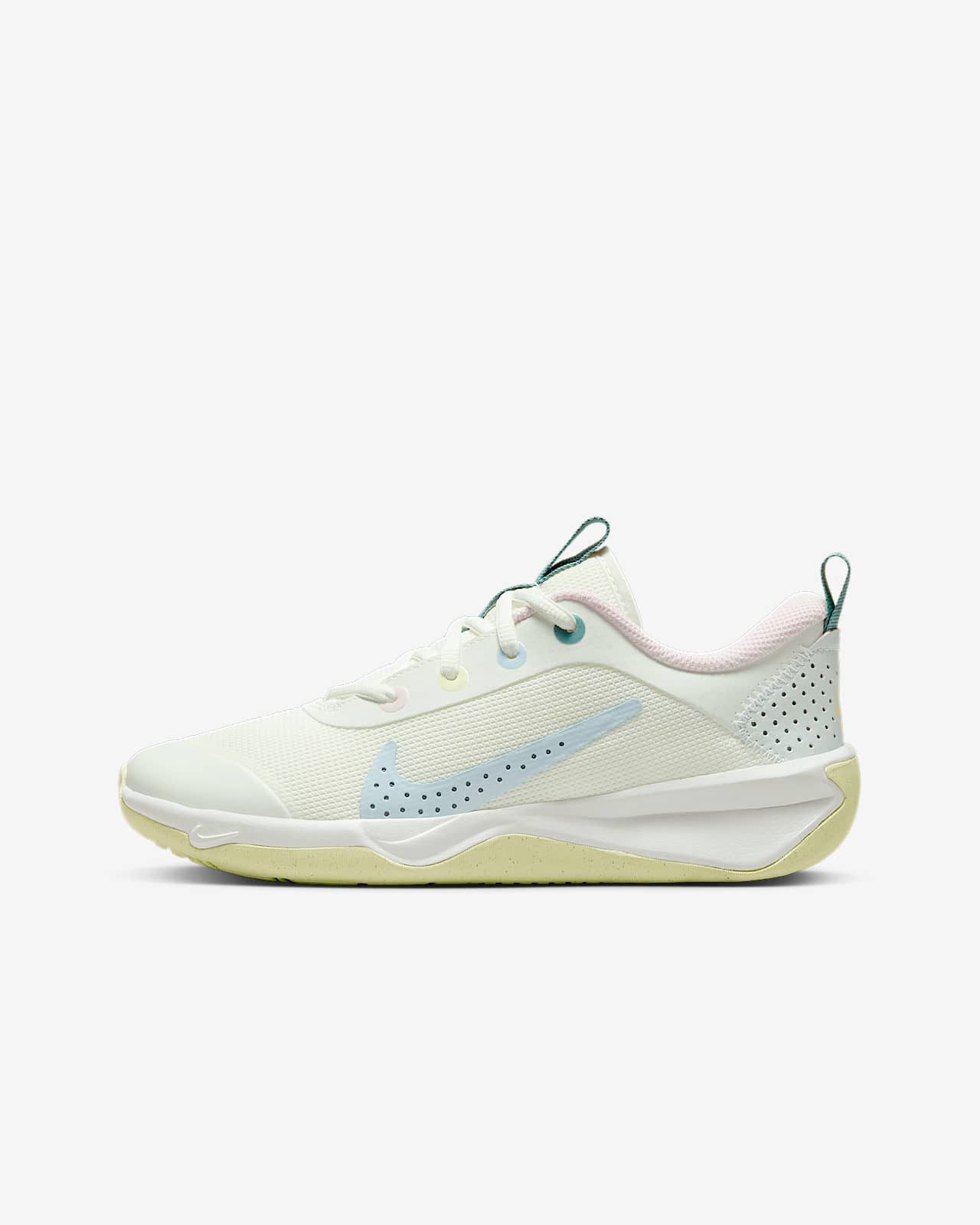 Sálové boty Nike Omni Multi-Court pro větší děti