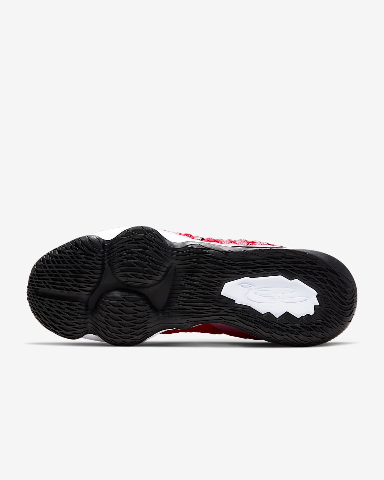 basketball shoes nike lebron james