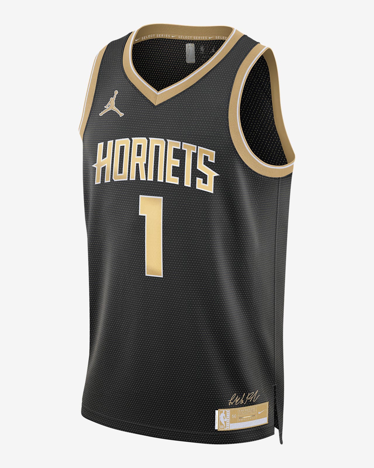 LaMelo Ball Charlotte Hornets 2024 Select Series Men's Jordan Dri-FIT NBA Swingman Jersey