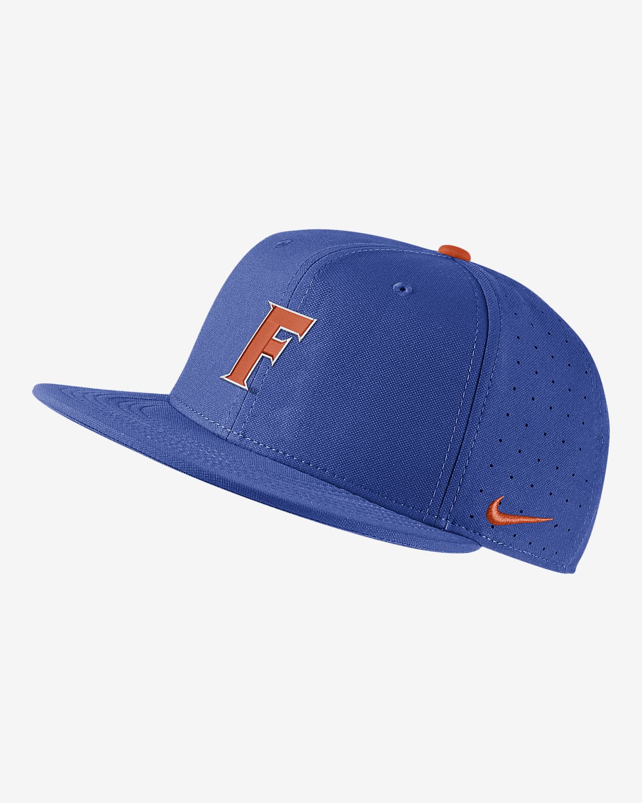 Florida Nike College Baseball Hat