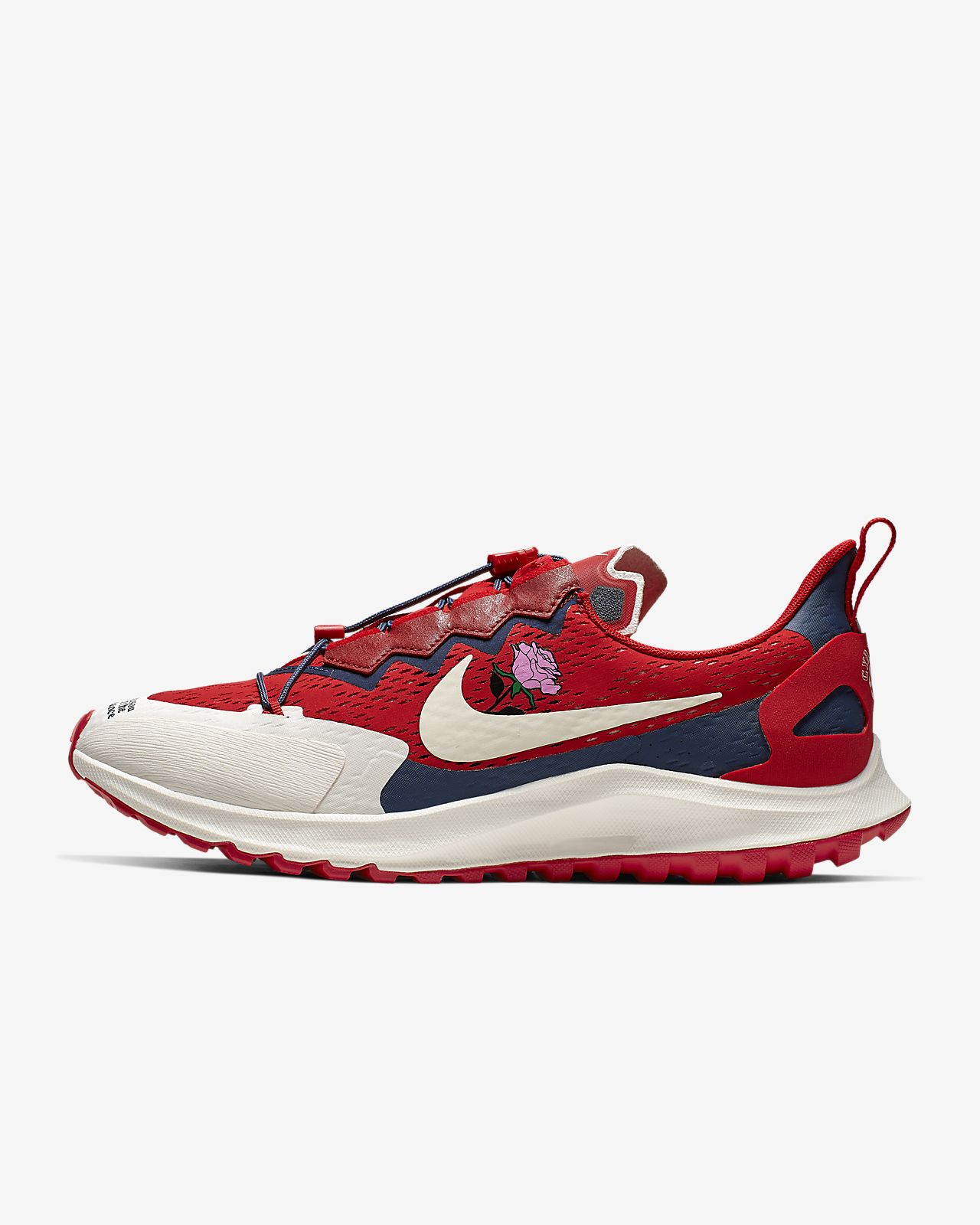 zoom pegasus gyakusou