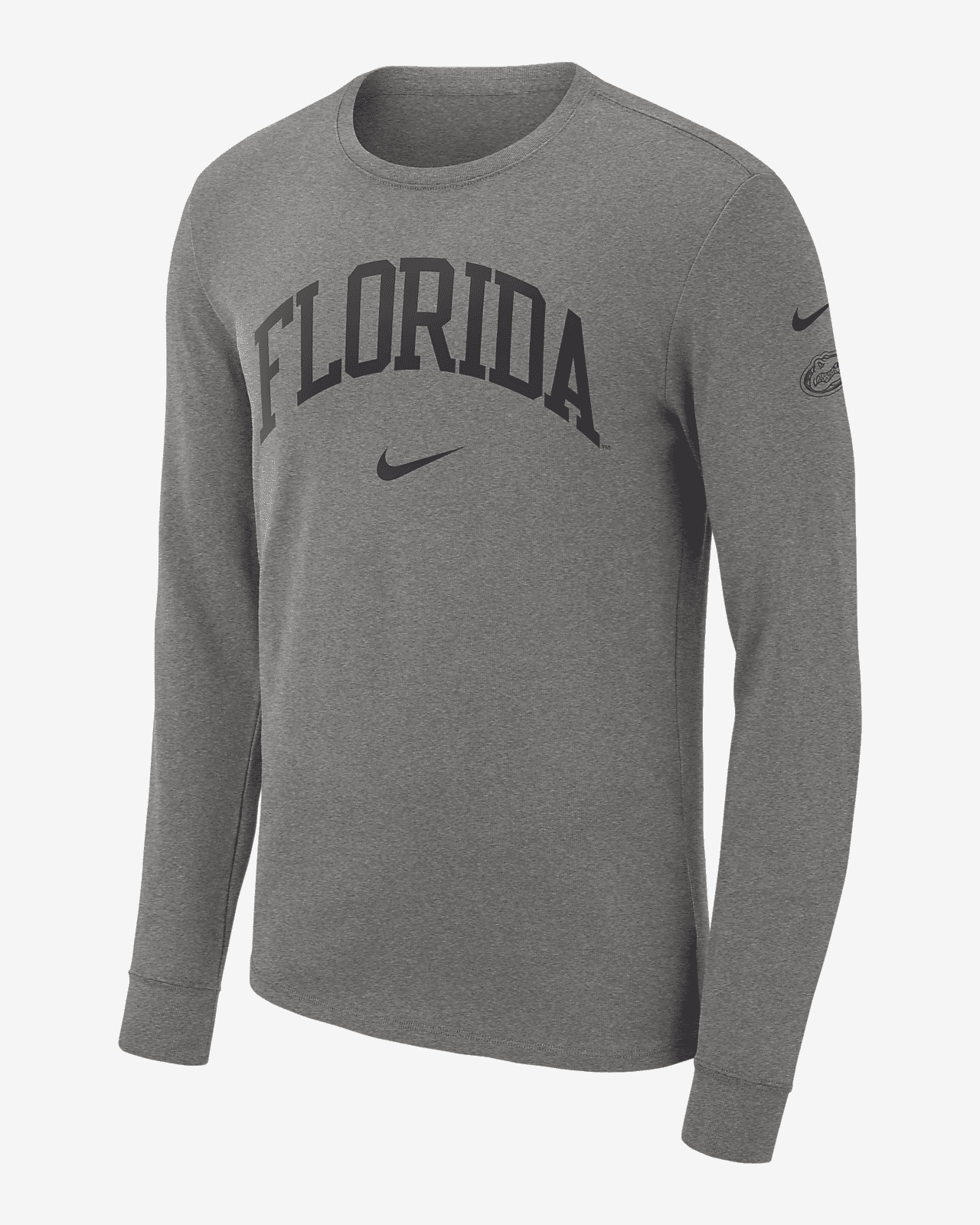 Мужская футболка Nike College (Florida)
