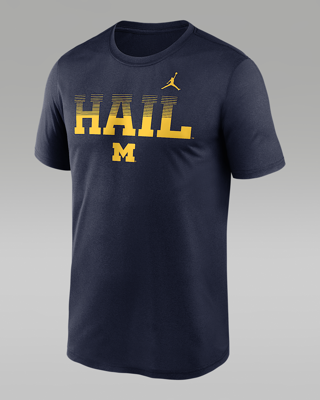 Мужская футболка Michigan Primetime Kinetic Mantra Legend Jordan Brand Dri-FIT College