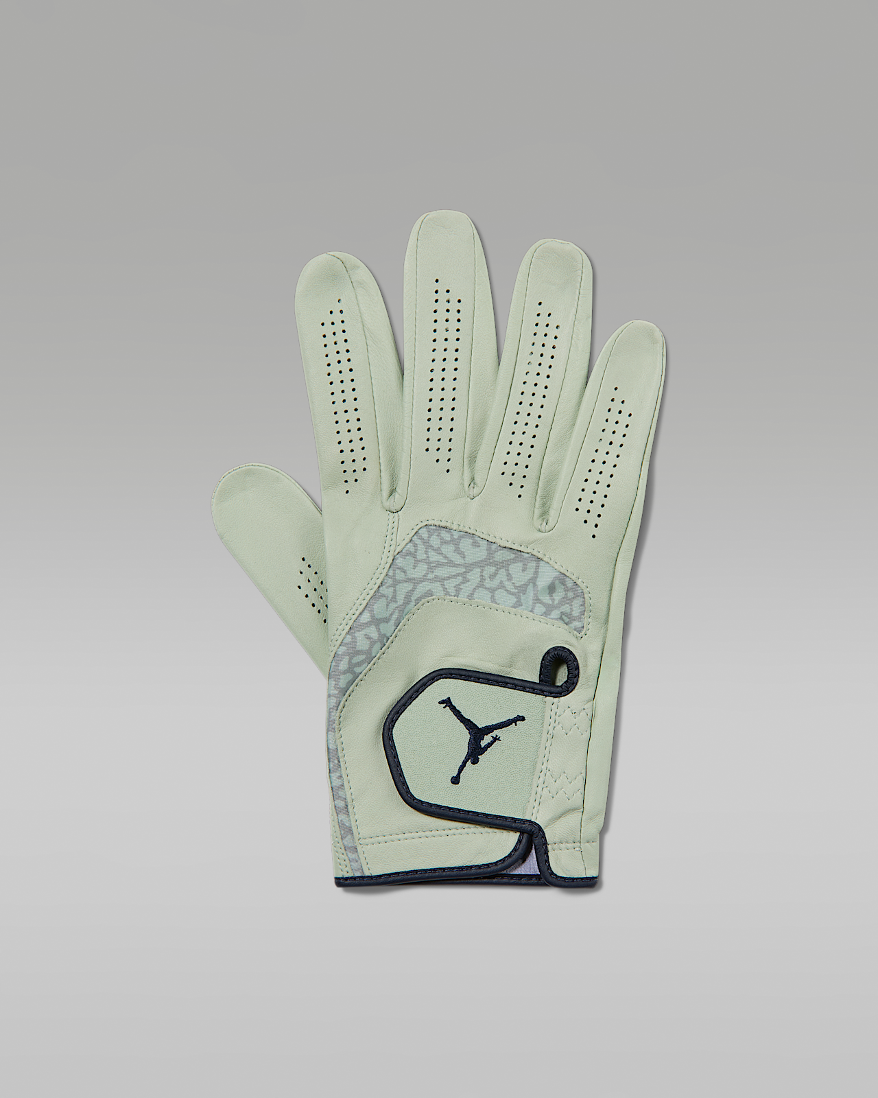 Мужские  Jordan Tour Regular Golf Glove (Right)