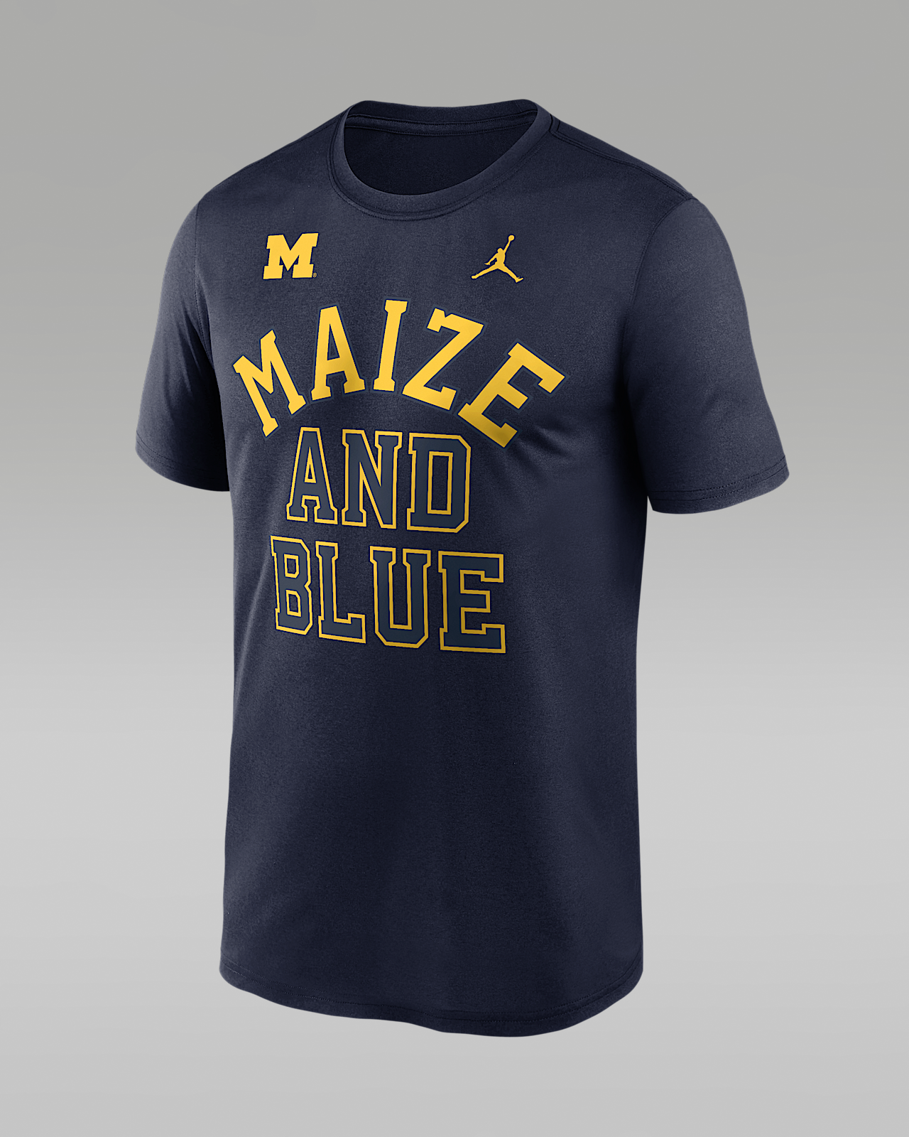 Мужская футболка Michigan Primetime Arch Mantra Legend Nike Dri-FIT College