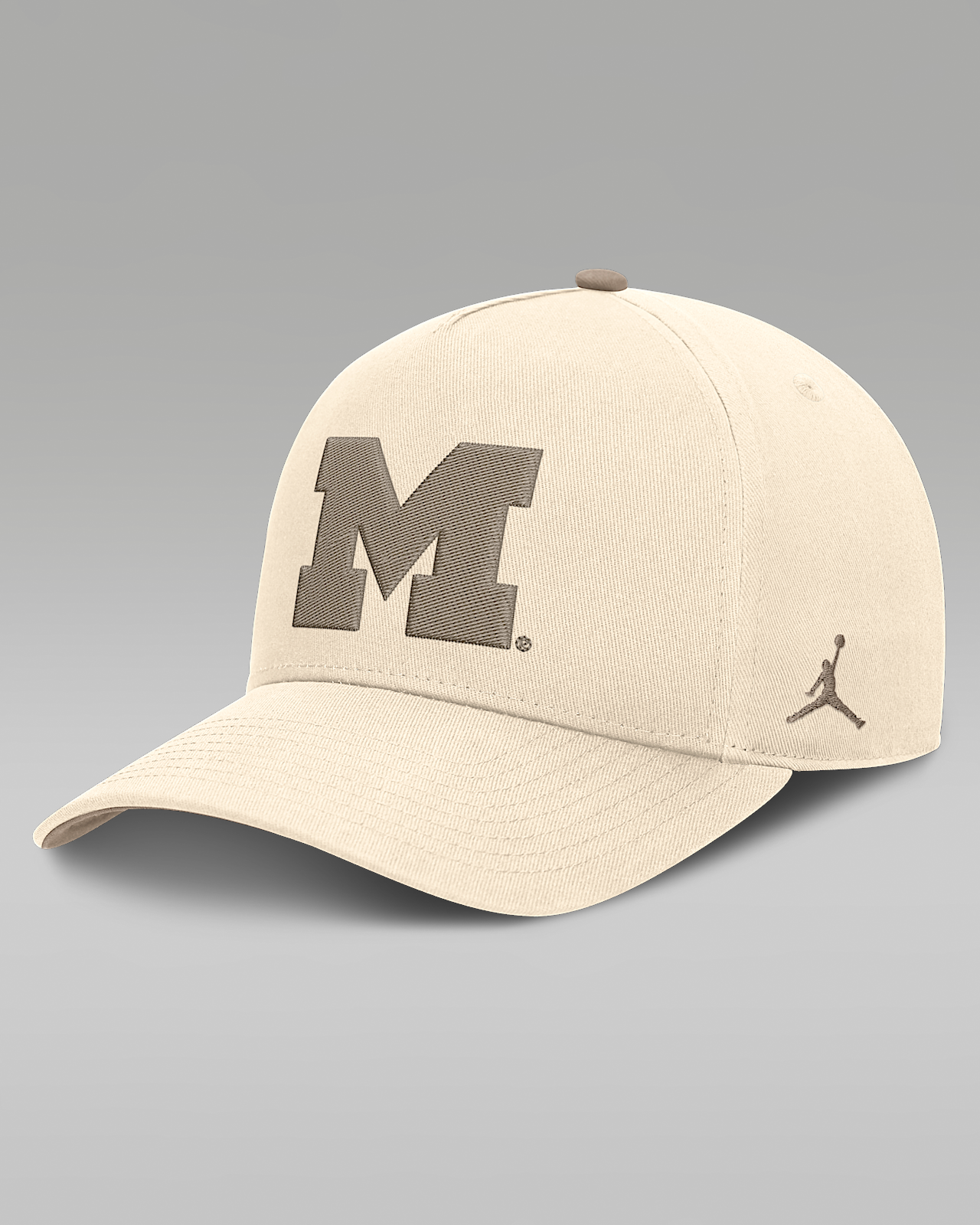 Мужские  Michigan Natural Rise Jordan Brand Dri-FIT College A-Frame Adjustable Hat