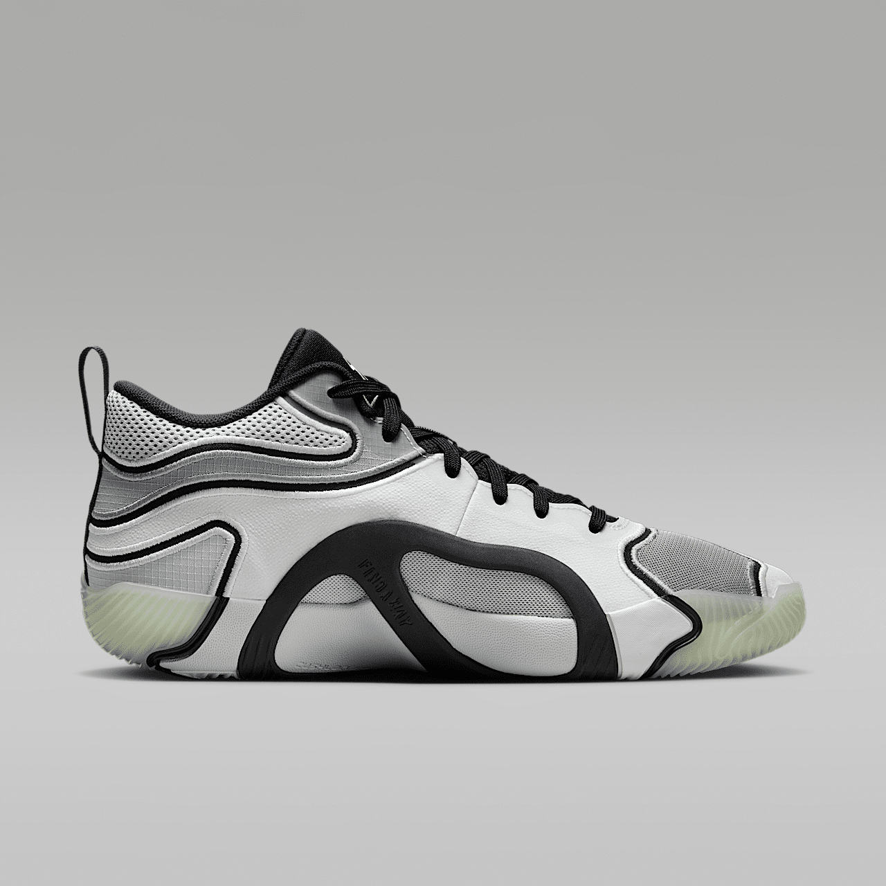 Nike  sneaker Platinum Tint/Particle Grey/Grey Fog/Zwart