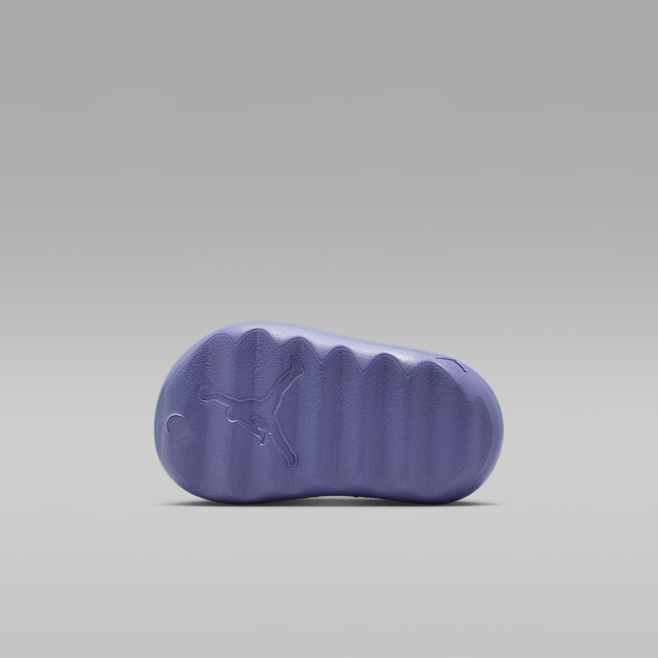 Nike  sneaker Dusty Amethyst/Court Purple