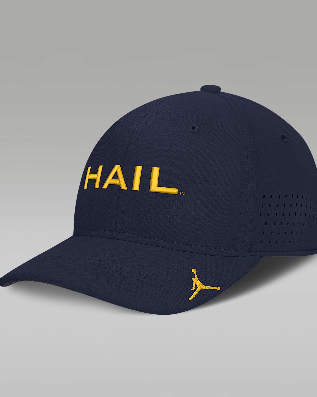 Женские  Michigan Sideline Club Gameday Jordan Brand Dri-FIT College Hat