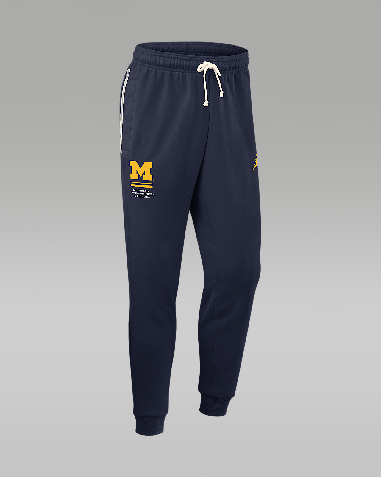 Мужские  Michigan Sideline Standard Issue Jordan Brand Dri-FIT College Taper Pants
