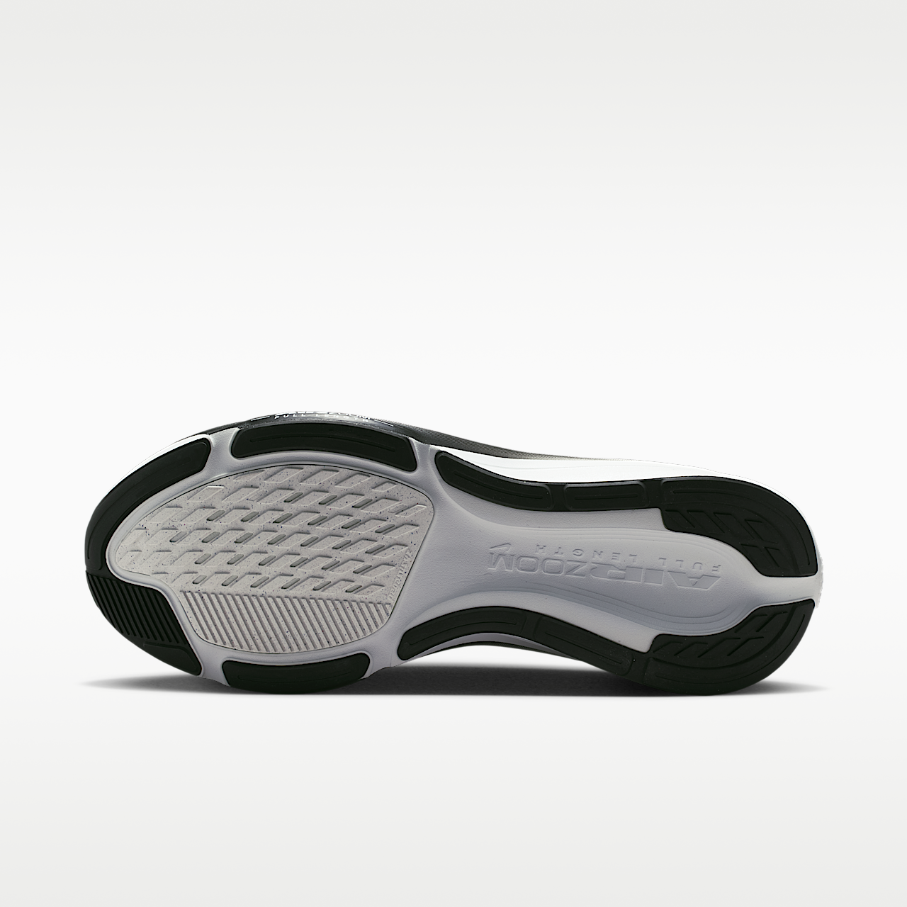 Nike Pegasus sneaker Summit White/Photon Dust/Zwart/Metallic Silver