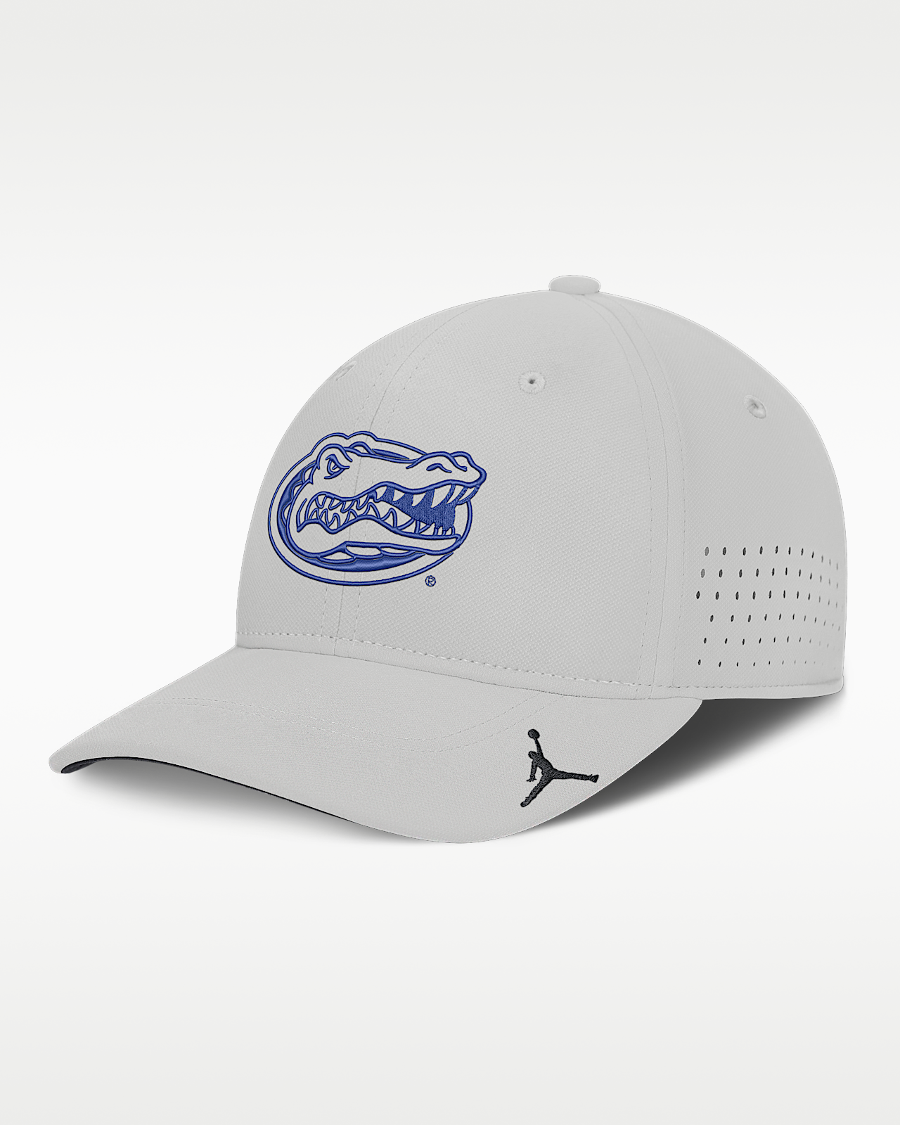 Мужские  Florida Sideline Practice Jordan Brand Dri-FIT College Hat