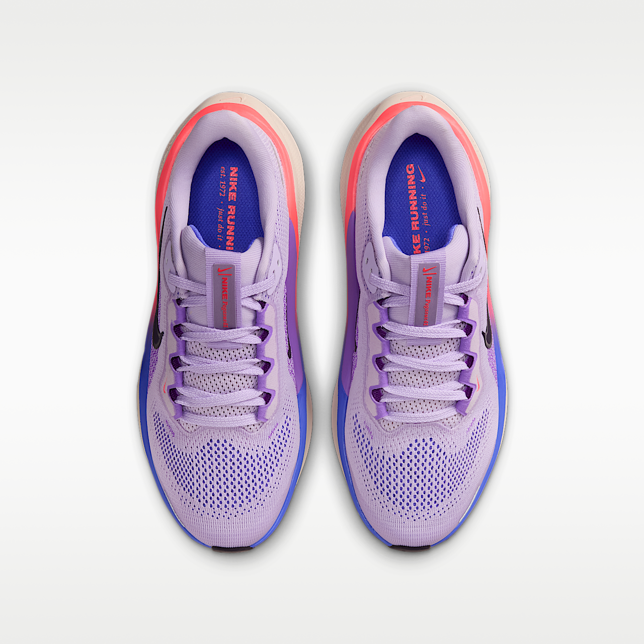 Nike Pegasus sneaker Violet Mist/Bright Violet/Sapphire/Purple Dynasty