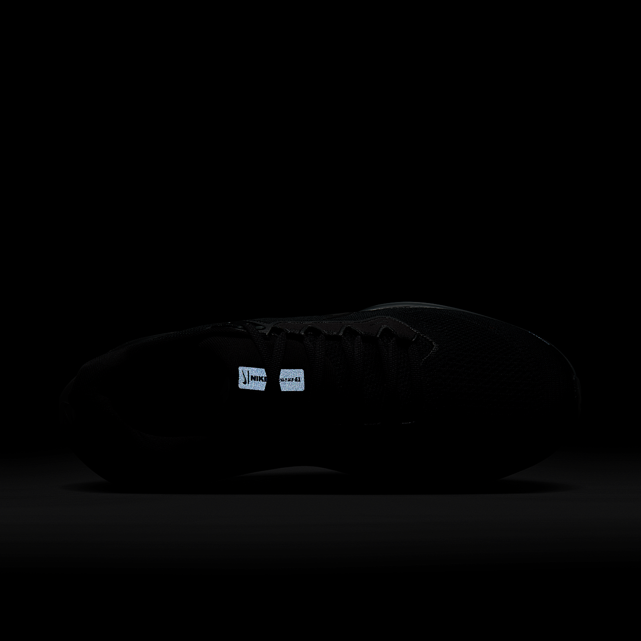 Nike Pegasus sneaker Zwart/Anthracite/Zwart