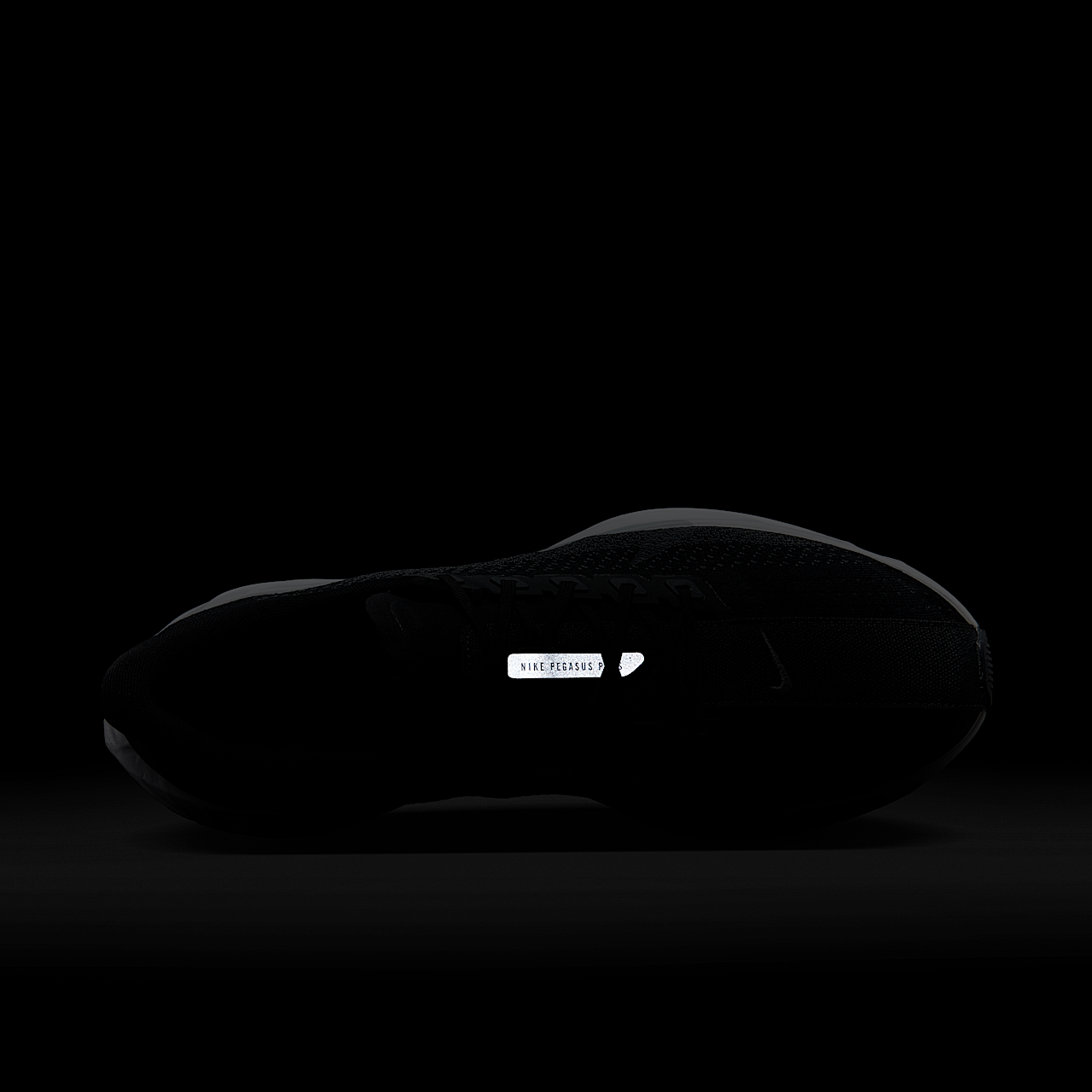 Nike Pegasus sneaker Zwart/Anthracite/Wit/Pure Platinum