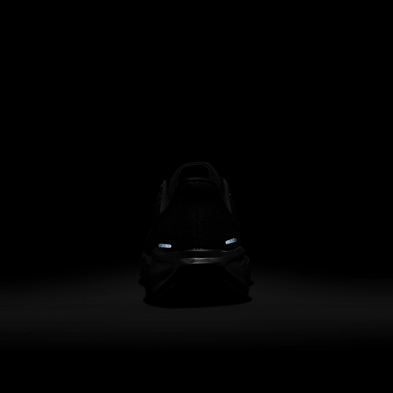 Nike Pegasus sneaker Zwart/Anthracite/Zwart