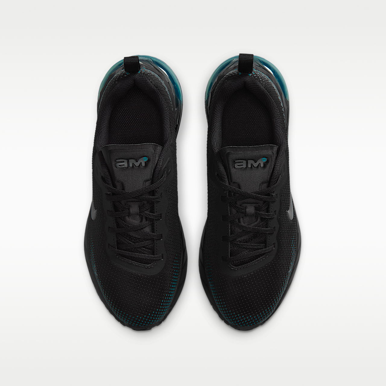 Nike Air Max sneaker Zwart/Gamma Blue/Bright Spruce/Iron Grey