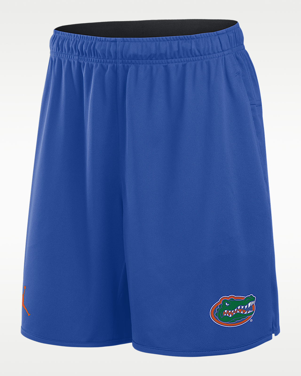Мужские шорты Florida Totality Nike Dri-FIT College Shorts