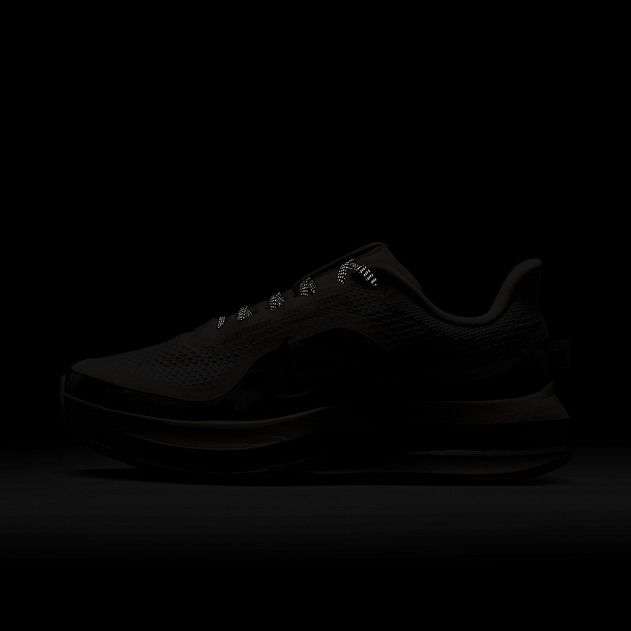Nike Pegasus sneaker Phantom/Anthracite/Metallic Silver/Pencil Point