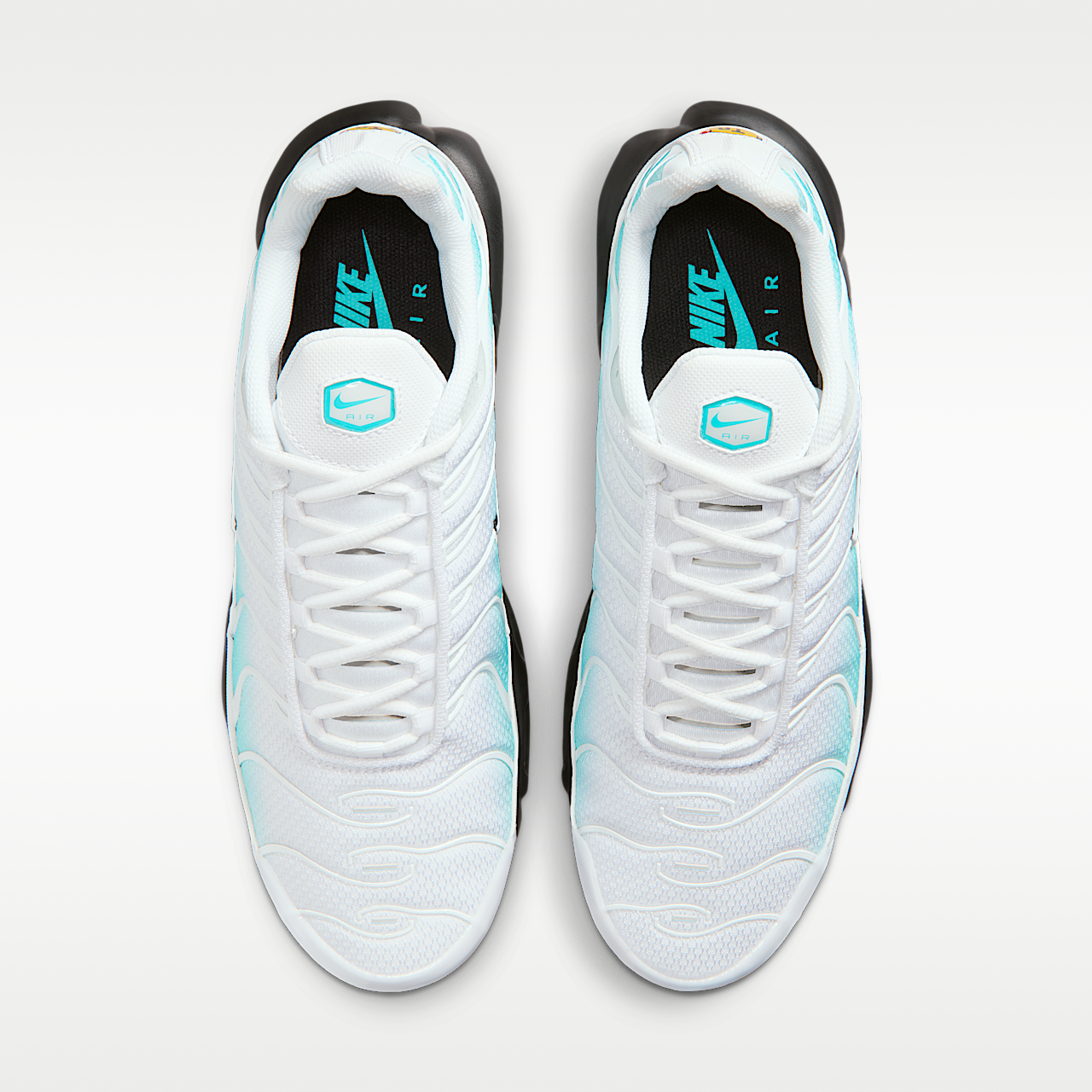 Nike Air Max Plus sneaker Dusty Cactus/Zwart/Wit