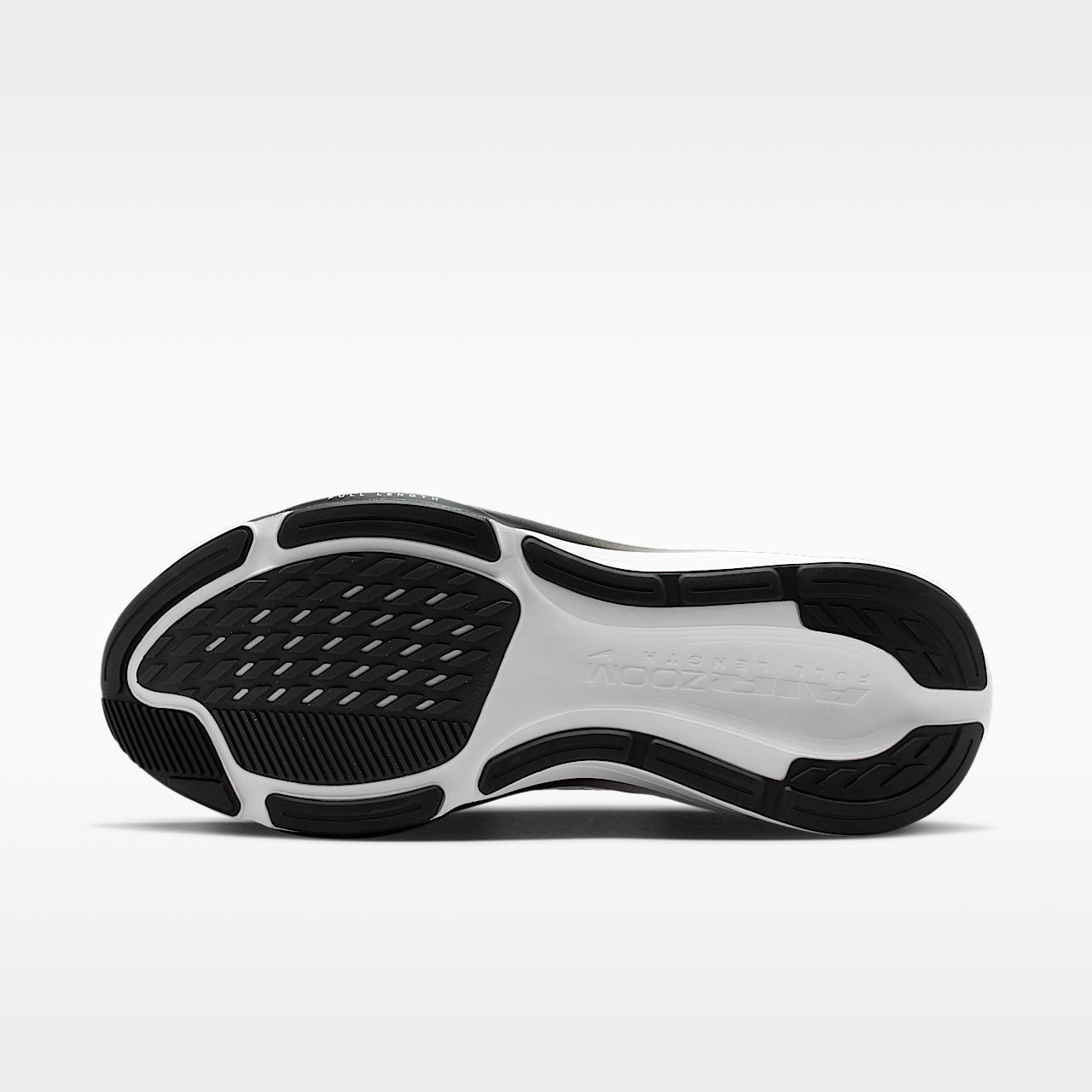 Nike Pegasus sneaker Zwart/Dark Smoke Grey/Wit
