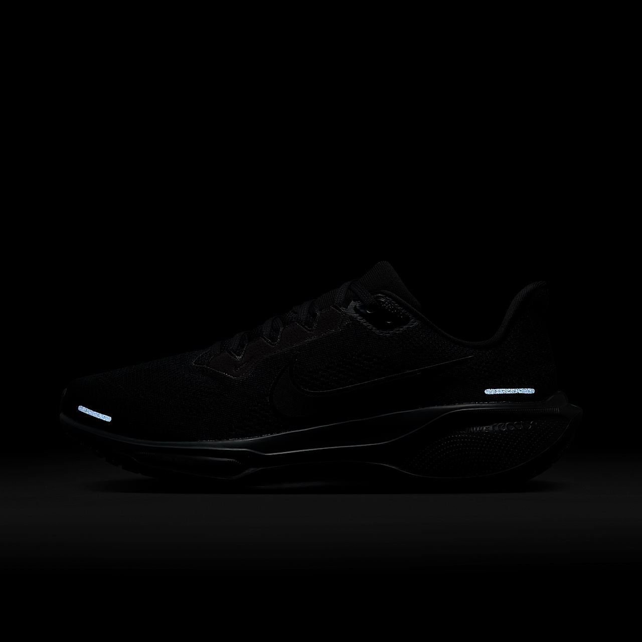 Nike Pegasus sneaker Zwart/Anthracite/Zwart