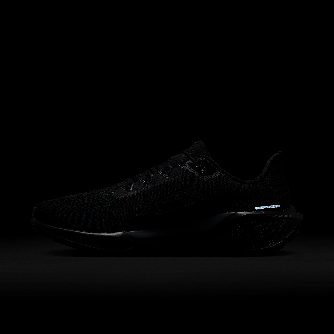 Nike Pegasus sneaker Zwart/Anthracite/Zwart