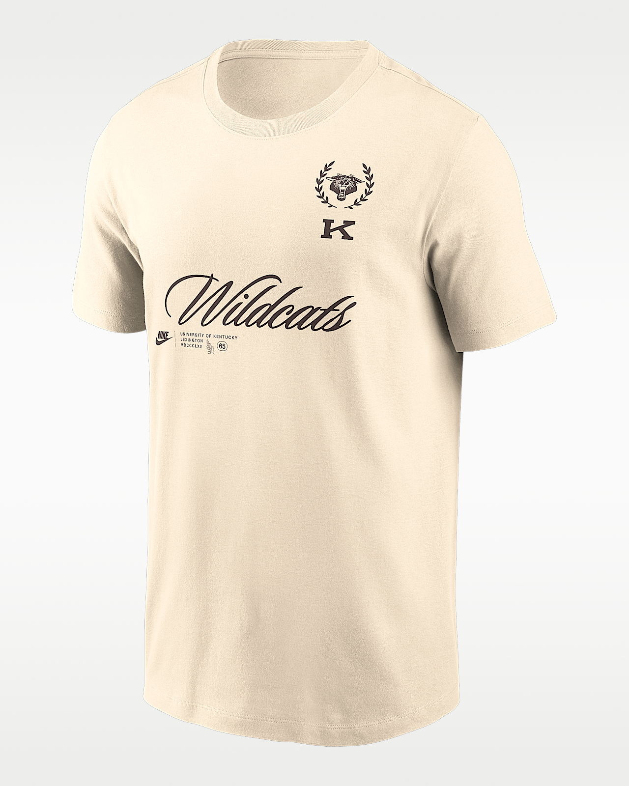 Мужская футболка Kentucky Script Nike College