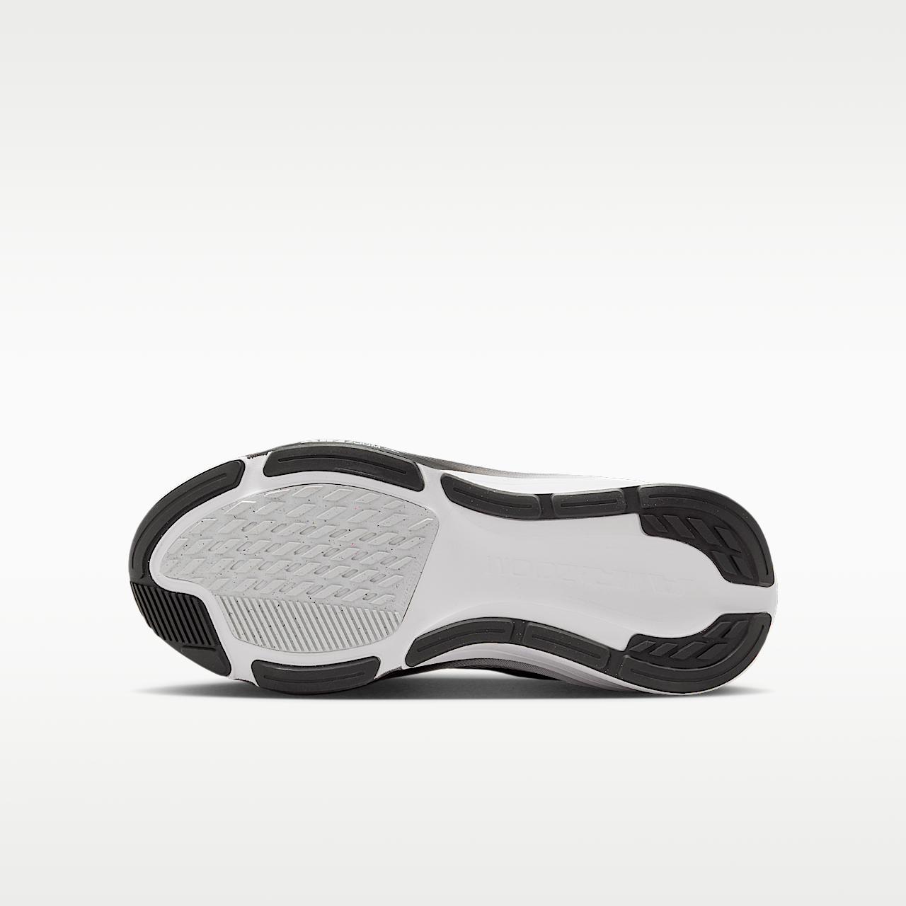 Nike Pegasus sneaker Zwart/Photon Dust/Wit