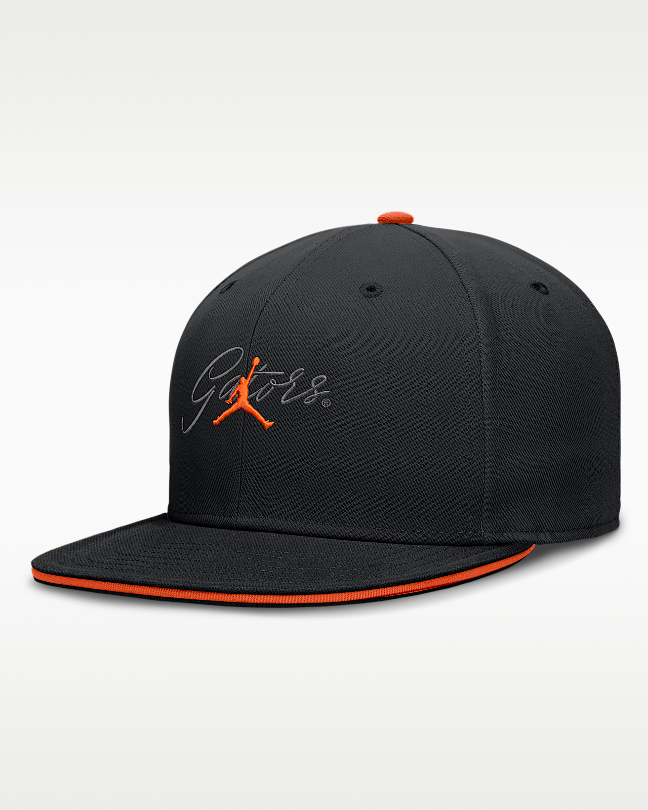 Мужская кепка Florida Pro Jordan Brand Dri-FIT College Fitted Hat