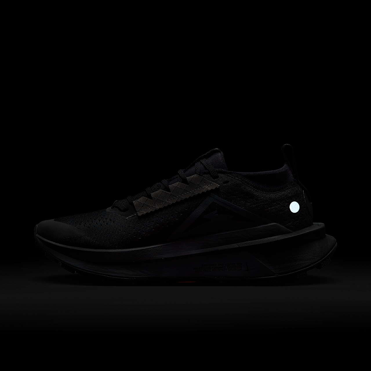 Nike  sneaker Zwart/Metallic Platinum/Anthracite