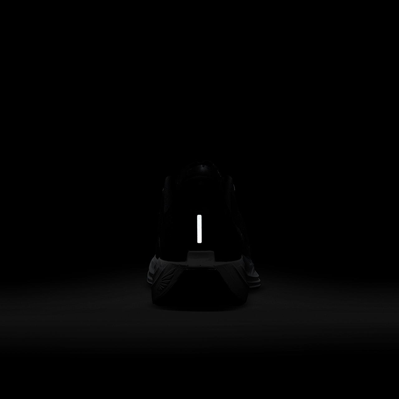 Nike Pegasus sneaker Zwart/Anthracite/Wit/Pure Platinum