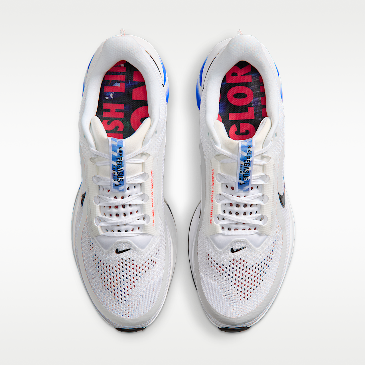 Nike Pegasus sneaker Wit/Racer Blue/Zwart
