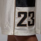 Jordan Brooklyn Cat Scratch Men's Shorts